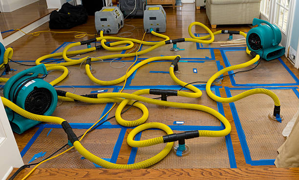 Professional Water Extraction technician working in New Vienna, OH