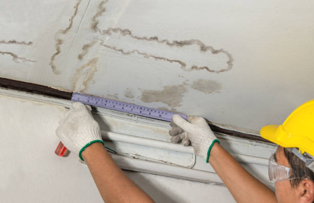 Affordable Water Damage Repair solutions in New Vienna, OH